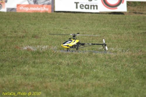 DSC_4284.JPG