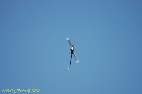 DSC_4296.JPG