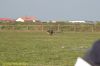 DSC_4246.JPG