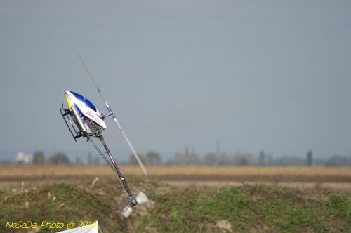 DSC_4302.JPG