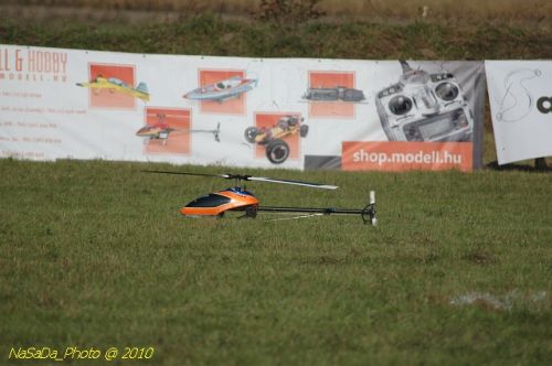 DSC_4316.JPG