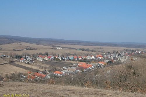 DSC_6132.JPG