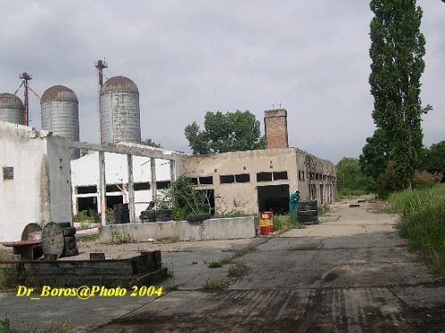 DSCN4241.JPG