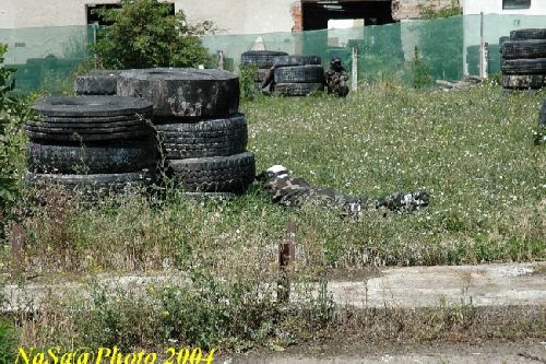 DSC_0106.JPG