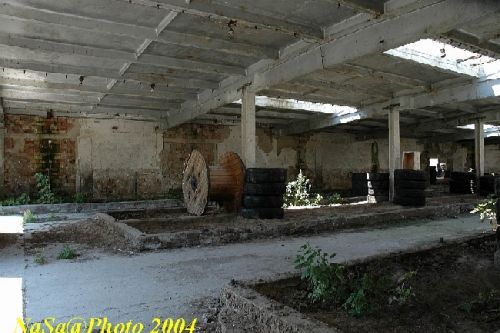DSC_0145.JPG