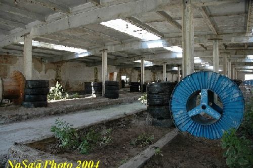 DSC_0146.JPG