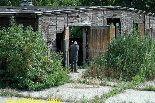 DSC_0202.JPG