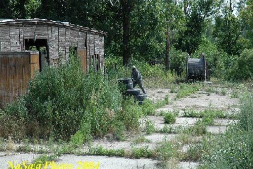 DSC_0209.JPG