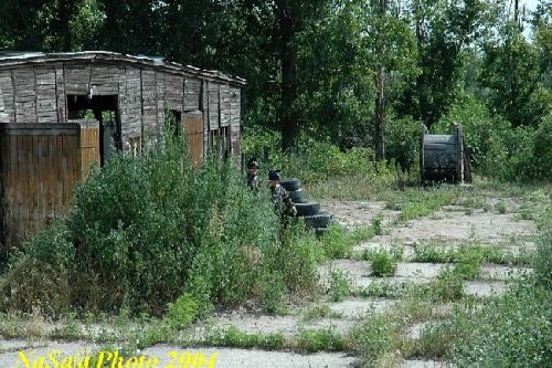 DSC_0228.JPG