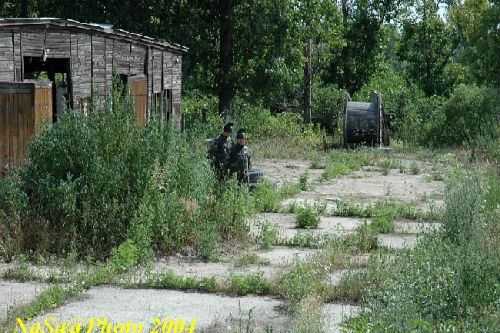 DSC_0229.JPG