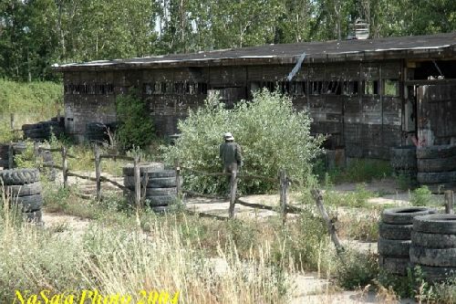 Dsc_0201.jpg