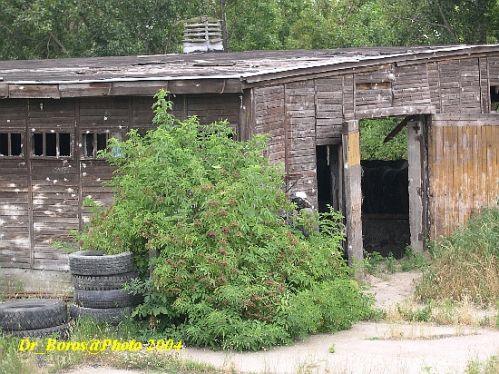 DSCN4529.JPG