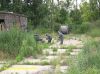 DSCN4520.JPG