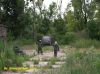 DSCN4531.JPG