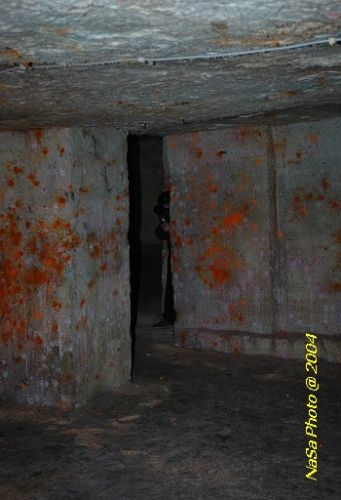 DSC_5800.JPG