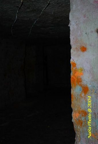 DSC_5801.JPG