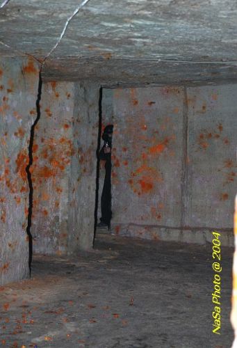 DSC_5802.JPG