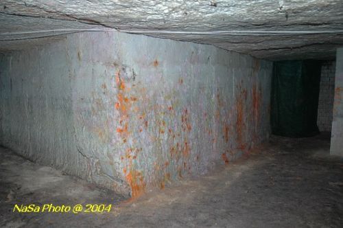 DSC_5803.JPG