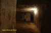DSC_5710.JPG