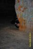 DSC_5805.JPG