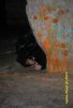 DSC_5806.JPG