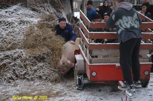 DSC_6360.JPG
