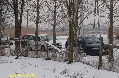 DSC_6393.JPG