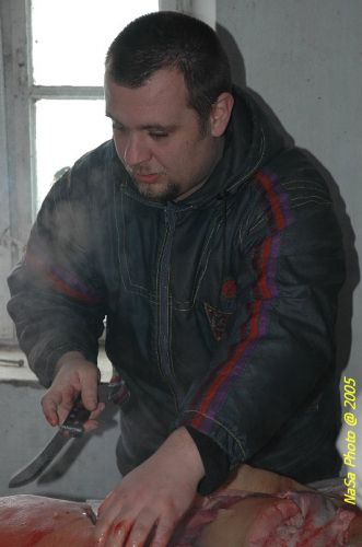 DSC_6415.jpg