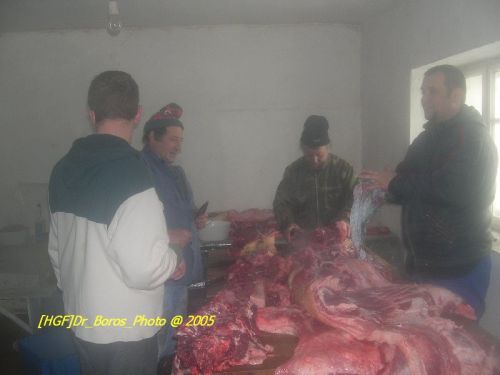 DSCN6272.JPG