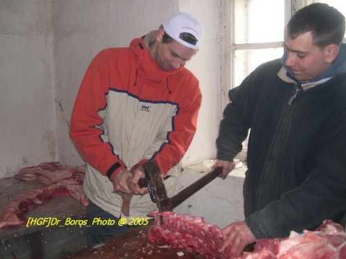 DSCN6288.JPG
