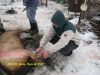 DSCN6269.JPG