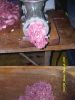 DSCN6281.JPG