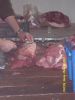 DSCN6298.JPG
