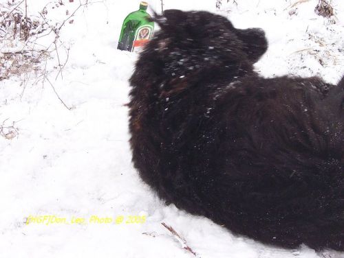 101_0038.JPG