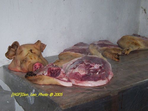 101_0060.JPG