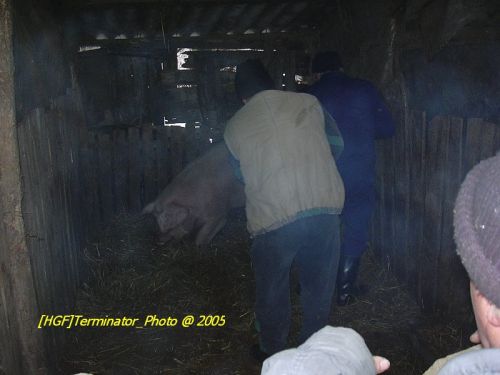 DSCN1078.JPG