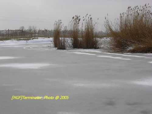 DSCN1112.JPG