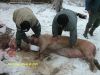 DSCN0018.JPG