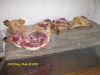DSCN0076.JPG