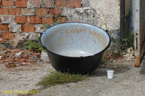 DSC_3313.JPG