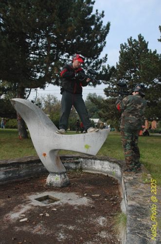 DSC_3524.jpg