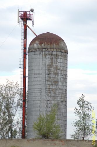 DSC_3986.jpg