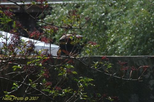 DSC_4089.jpg