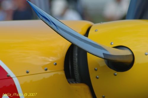 DSC_2230.jpg