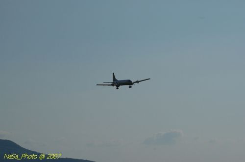 DSC_2281.jpg