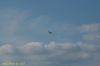 DSC_2285.jpg